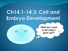 Cell and Embryo Developmentx
