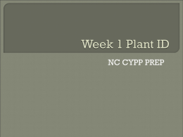 Week 1 Plant ID