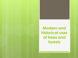 Modern and historical uses of trees and forests