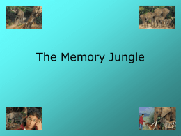 The Memory Jungle - Cengage Learning