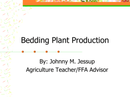 Bedding Plant Production - Havelock Agricultural Education