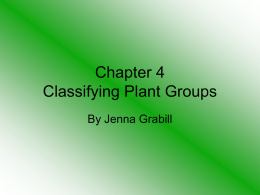 Chapter 4 Classifying Plant Groups