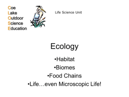 Habitat - Coe Lake Outdoor Science Education