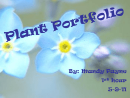 Plant Portfolio