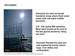 Seawater flooded the land and was trapped by barrier