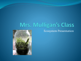 ecosystems sample presentationx