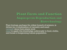 Unit XI: Plant Structure and Function