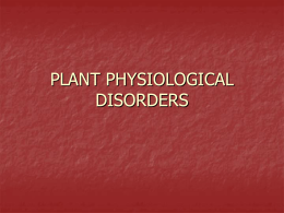 plant physiological disorders