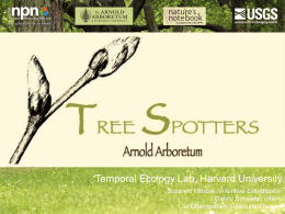 Tree Spotter Presentation