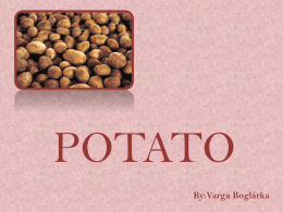 Potato presentation in Bulgaria