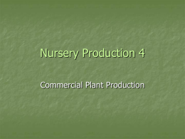 Nursery Production 4