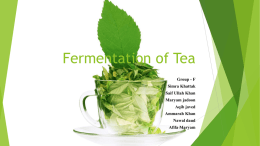 Fermentation of Tea - Lectures For UG-5