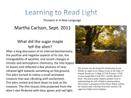 Learning to Read Light - Forest Watch