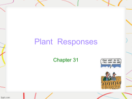 Plant Repsonses - pptx