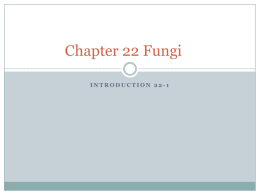 Chapter 22 Fungi