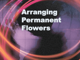 Arranging Permanent Flowers