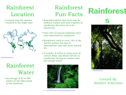 RainforestBrochurex