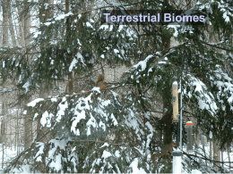 Terrestrial Biomes - Social Circle City Schools