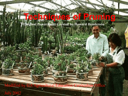 Techniques of Pruning