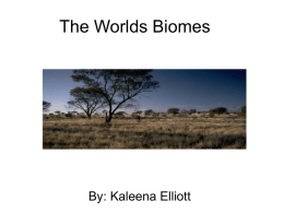 The Worlds Biomes - Westwood5thGrade2011