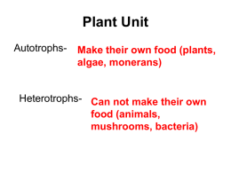 Plant Notes