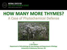 How Many More Thymes?