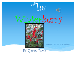 The Winterberry