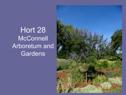 Plant List 3: (Chaste Tree List) McConnell Arboretum and Gardens