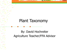 Plant Taxonomy - MR. Hochreiter`s Ag Classes