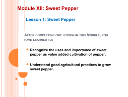 Module XI: Harvesting and Storing of Chili Pepper