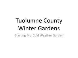 Tuolumne County Winter Gardens