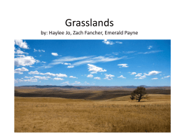 grasslands jonesx
