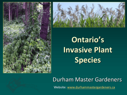 Invasive Species - Mississauga Master Gardeners