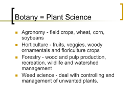 Begin Basic Botany Unit
