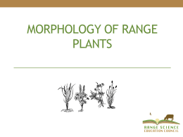 Morphology of Range Plantsx