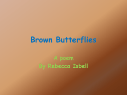Brown Butterflies - the Community-Based Service