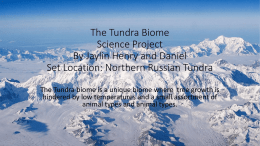 tundra-4th-period