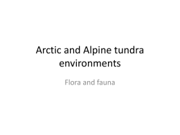 Arctic and Alpine tundra environments