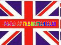 FAUNA OF THE BRITISH ISLES