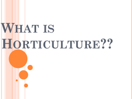 What is Horticulture?? - Providencehorticulture