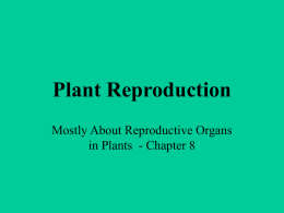 Reproductive Structures