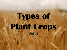Types of Plant Crops - Montgomery County Schools