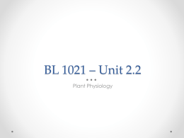 BL 1021 – Unit 2-2