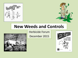 New Weeds and Controls