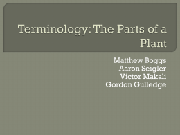 Terminology: The Parts of a Plant