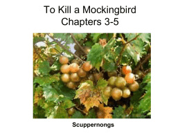 To Kill a Mockingbird Chapters 3