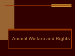 Animal Welfare and Rights