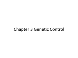 Chapter 3 Genetic Control