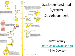 EB4-GutDevelopment