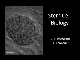 Stem Cell Biology - Bio 5068